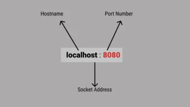 Localhost and Port Numbers