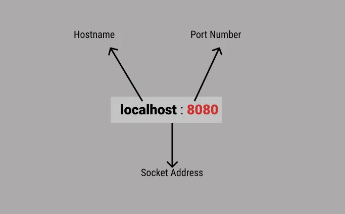 Understanding Localhost and Port Numbers - usatimemagazinepro.com